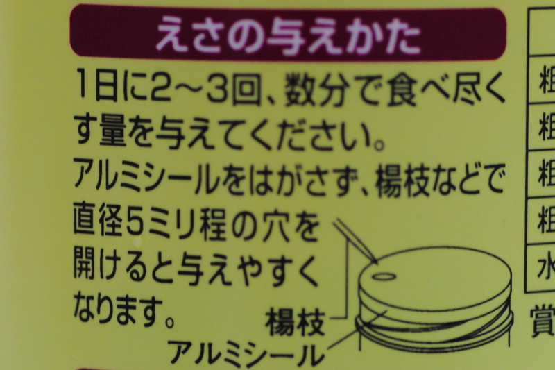 餌の与え方　テトラ　カラシン　ベーシック